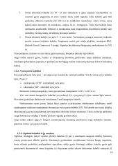 Kompiuterinio tinklo paslaugų paketo pristatymas vartotojui 14 puslapis