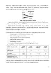 Kompiuterinio tinklo paslaugų paketo pristatymas vartotojui 15 puslapis