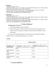 Kompiuterinio tinklo paslaugų paketo pristatymas vartotojui 17 puslapis