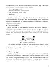 Kompiuterinio tinklo paslaugų paketo pristatymas vartotojui 6 puslapis