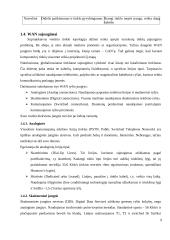 Kompiuterinio tinklo paslaugų paketo pristatymas vartotojui 9 puslapis