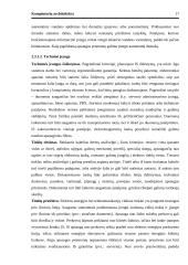 Kompiuterių architektūra 17 puslapis