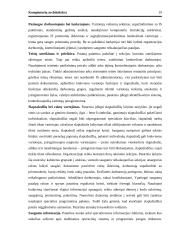 Kompiuterių architektūra 19 puslapis