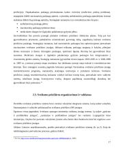 Lietuvos sveikatos apsaugos reforma 16 puslapis