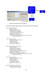 Kompiuterizuota informacinių sistemų (IS) inžinerija CASE paketu Provision Workbench 20 puslapis
