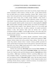 Macromedia Flash script kalbos panaudojimas algoritmavimo įgūdžių ugdymui 6 puslapis