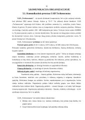 Komunikacijos procesas marketinge: UAB "Technosrautas" 18 puslapis