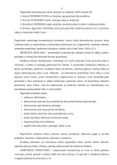 Komunikacijos procesas marketinge: UAB "Technosrautas" 9 puslapis