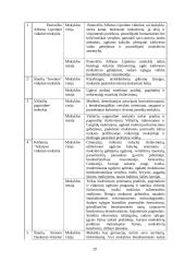 Mokyklos konceptualumas 20 puslapis