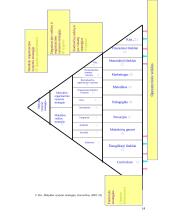 Mokyklos strategijos formavimo principai: lietuviška Kristijono Donelaičio mokykla Jungtinėse Amerikos Valstijose (JAV) 14 puslapis