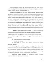 Mokyklos strategijos formavimo principai: lietuviška Kristijono Donelaičio mokykla Jungtinėse Amerikos Valstijose (JAV) 15 puslapis