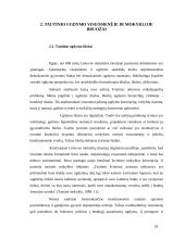 Mokyklos strategijos formavimo principai: lietuviška Kristijono Donelaičio mokykla Jungtinėse Amerikos Valstijose (JAV) 18 puslapis