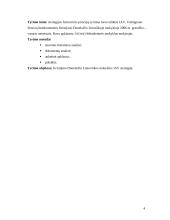 Mokyklos strategijos formavimo principai: lietuviška Kristijono Donelaičio mokykla Jungtinėse Amerikos Valstijose (JAV) 4 puslapis