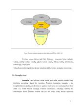Mokyklos strategijos formavimo principai: lietuviška Kristijono Donelaičio mokykla Jungtinėse Amerikos Valstijose (JAV) 7 puslapis