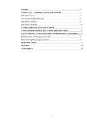 Konfliktinių situacijų sprendimo modeliai globos įstaigose 2 puslapis