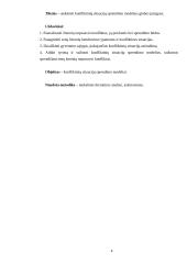 Konfliktinių situacijų sprendimo modeliai globos įstaigose 4 puslapis