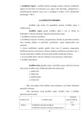 Konfliktinių situacijų sprendimo modeliai globos įstaigose 10 puslapis