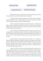 Konkurencija – teigiamas veiksnys rinkoje 11 puslapis