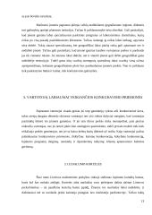 Konkurencija – teigiamas veiksnys rinkoje 13 puslapis