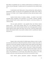 Konkurencija – teigiamas veiksnys rinkoje 14 puslapis