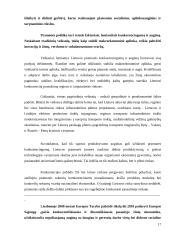 Konkurencija – teigiamas veiksnys rinkoje 17 puslapis