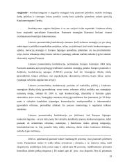 Konkurencija – teigiamas veiksnys rinkoje 18 puslapis