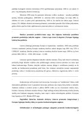 Konkurencija – teigiamas veiksnys rinkoje 19 puslapis