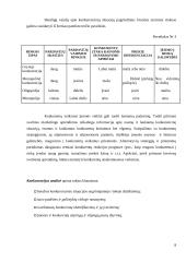 Konkurencija – teigiamas veiksnys rinkoje 8 puslapis