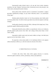 Konkurencija – teigiamas veiksnys rinkoje 10 puslapis