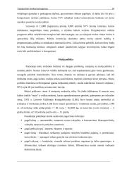 Konkurencingumas 16 puslapis