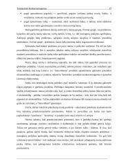 Konkurencingumas 17 puslapis