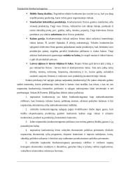 Konkurencingumas 4 puslapis