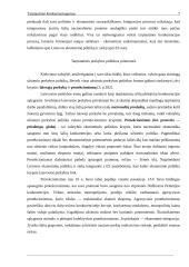 Konkurencingumas 7 puslapis