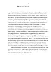 Kontinentinis šelfas ir jo režimas 3 puslapis