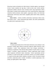 Kultūros įtaka organizacijos efektyvumui 11 puslapis