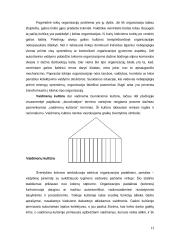 Kultūros įtaka organizacijos efektyvumui 12 puslapis