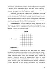 Kultūros įtaka organizacijos efektyvumui 13 puslapis
