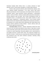 Kultūros įtaka organizacijos efektyvumui 14 puslapis