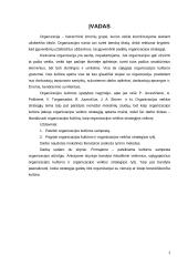 Kultūros įtaka organizacijos efektyvumui 2 puslapis