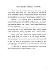 Kultūros įtaka organizacijos efektyvumui 3 puslapis