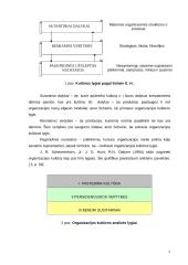 Kultūros įtaka organizacijos efektyvumui 4 puslapis