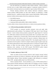 Privačių duomenų perdavimo tinklų darbo kontrolės ir valdymo metodai ir priemonės 16 puslapis