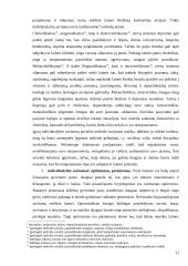 Laimės sąvoka bei samprata filosofijoje 11 puslapis