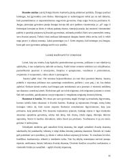 Laimės sąvoka bei samprata filosofijoje 16 puslapis