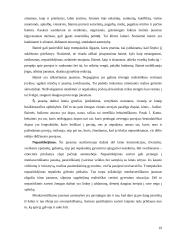 Laimės sąvoka bei samprata filosofijoje 19 puslapis