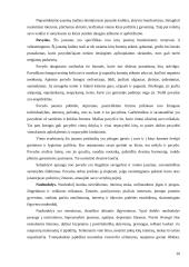 Laimės sąvoka bei samprata filosofijoje 20 puslapis