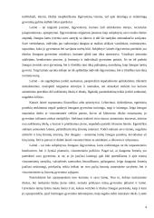 Laimės sąvoka bei samprata filosofijoje 4 puslapis