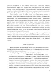 Laimės sąvoka bei samprata filosofijoje 9 puslapis