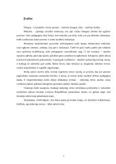 Stresas mokytojo darbe 2 puslapis