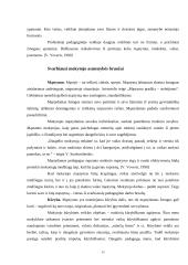 Stresas mokytojo darbe 13 puslapis